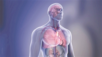 心脏微血管实现亚毫米分辨率成像